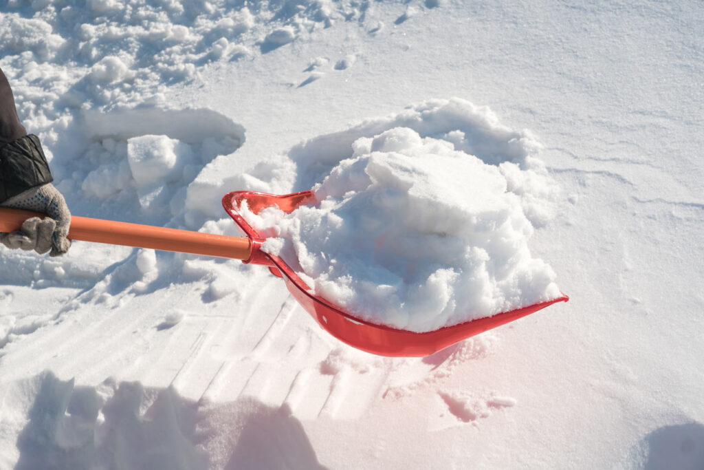Shovel in snow
