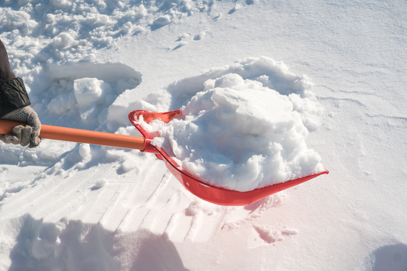 Shovel in snow